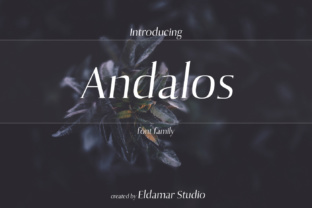 Andolas Display Typeface: Handmade Elegance for Modern Brand Campaigns