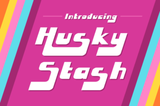Husky Stash: The Retro Display Font for Bold Brand Identity