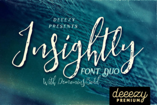 Insightly Font Duo for Retro Marketing Campaigns